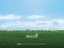 Weeds 09 1024x768